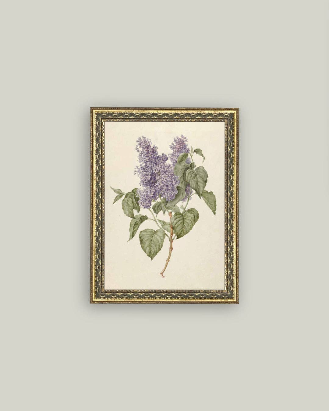 Lilac Branch Framed Antique Art - 5x7