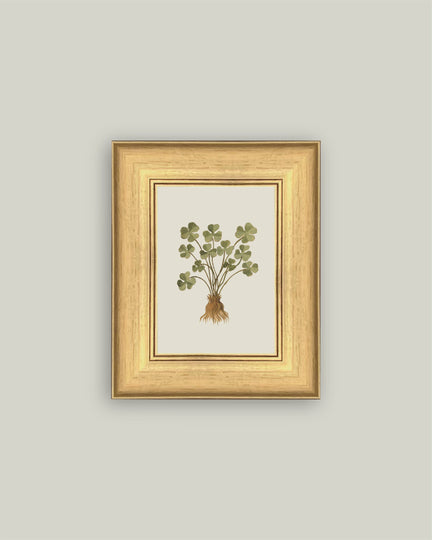 Rooted Luck - 6x8